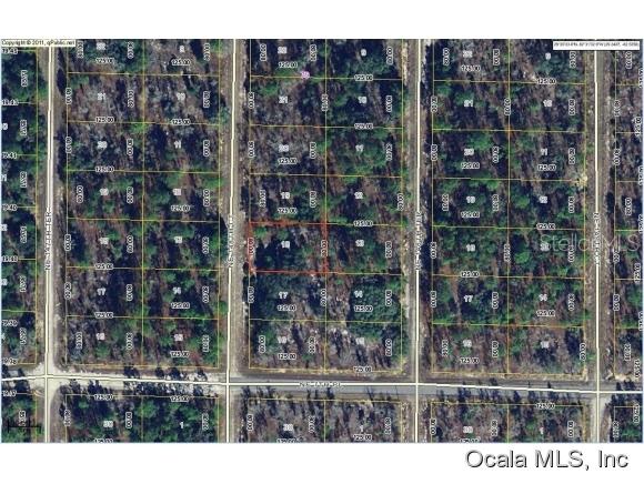 NE 148th Ct., Williston, FL 32696