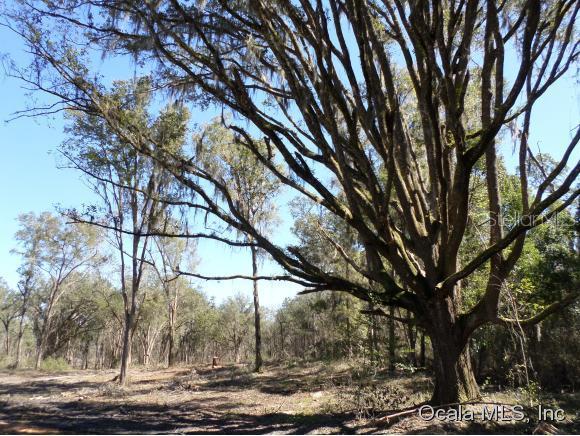 120ac NW 100 Ave., Ocala, FL 34482