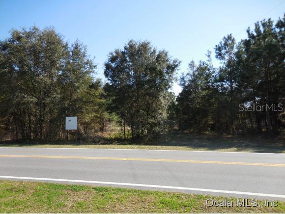 13452 W Highway 318, Williston, FL 32696