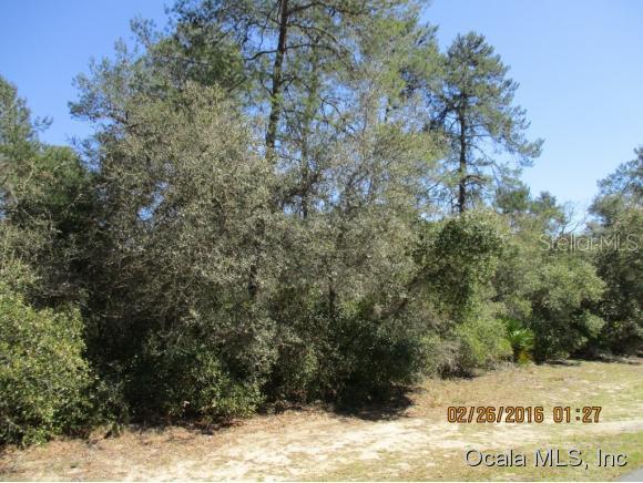 SW 170th Loop, Ocala, FL 34473