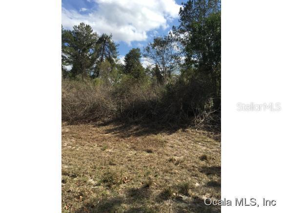 SW 42nd Ct Rd., Ocala, FL 34473