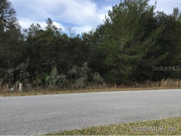SW 98th Ln., Ocala, FL 34476