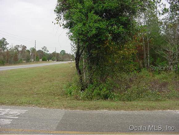 TBD NE Tbd State Road 121, Williston, FL 32696