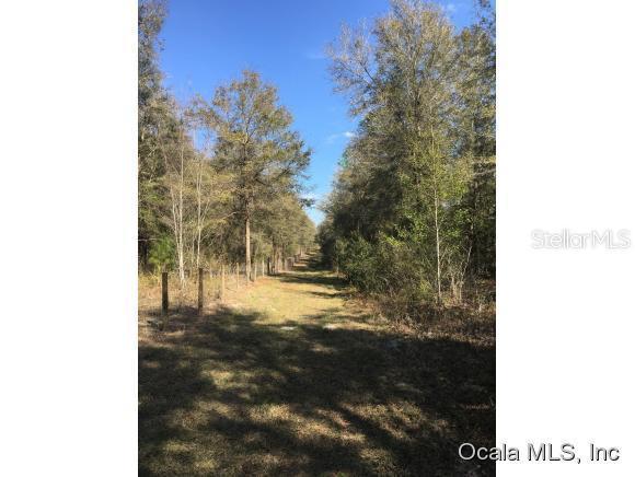 Lot 23 NE Lot 23 155 Ave., Williston, FL 32696
