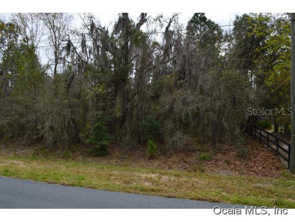 6020 W Glory Hill Null St., Beverly Hills, FL 34465