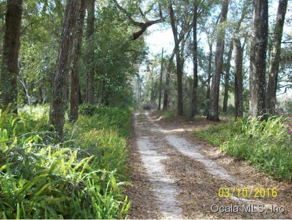 14572 SE 80th Ave., Summerfield, FL 34491