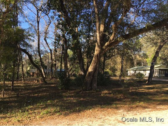 NE 167th Ter., Silver Springs, FL 34488