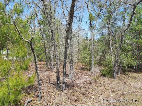 00 SE 159th Pl., Summerfield, FL 34491