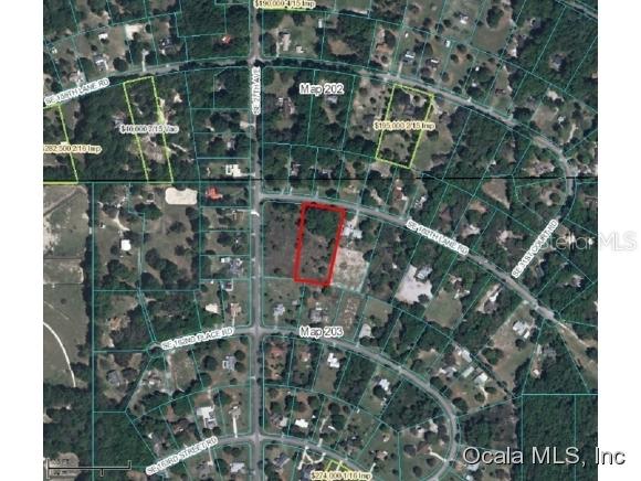 SW 160 Lane Rd., Summerfield, FL 34491