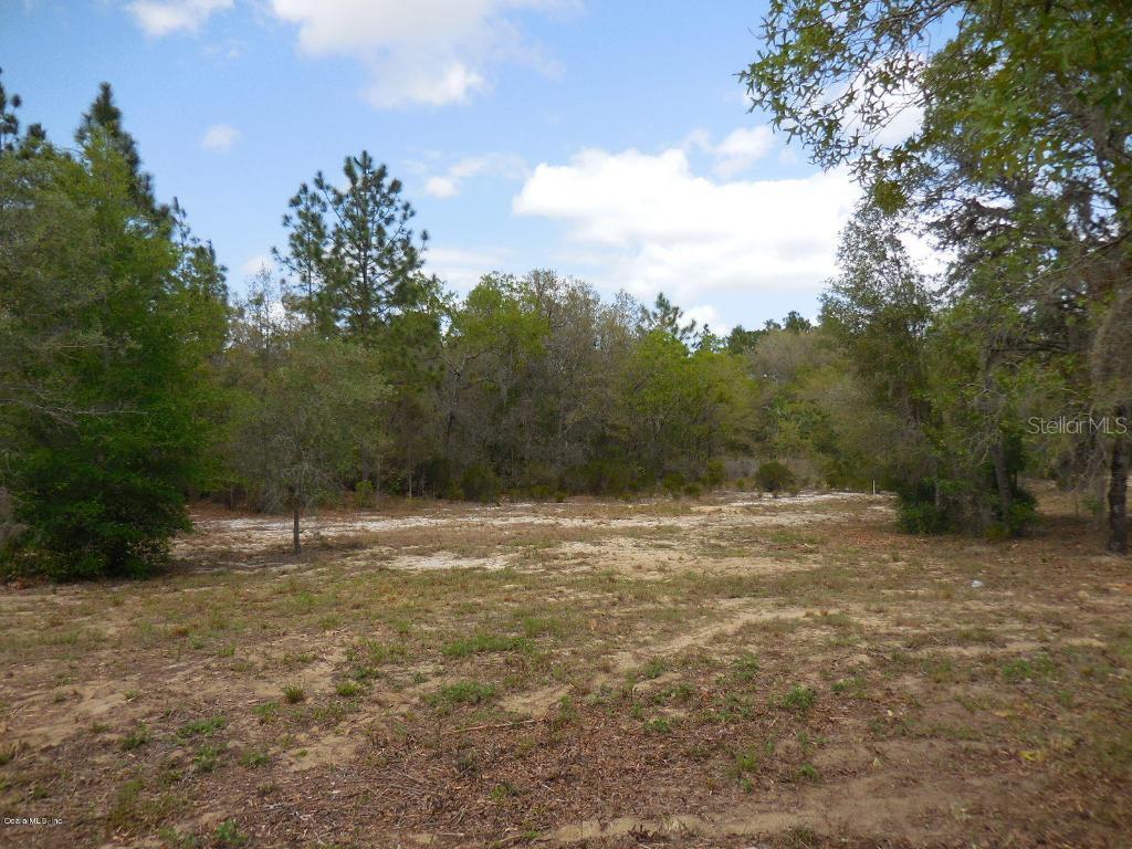 TBD NE 51 Lane, Williston, FL 32696