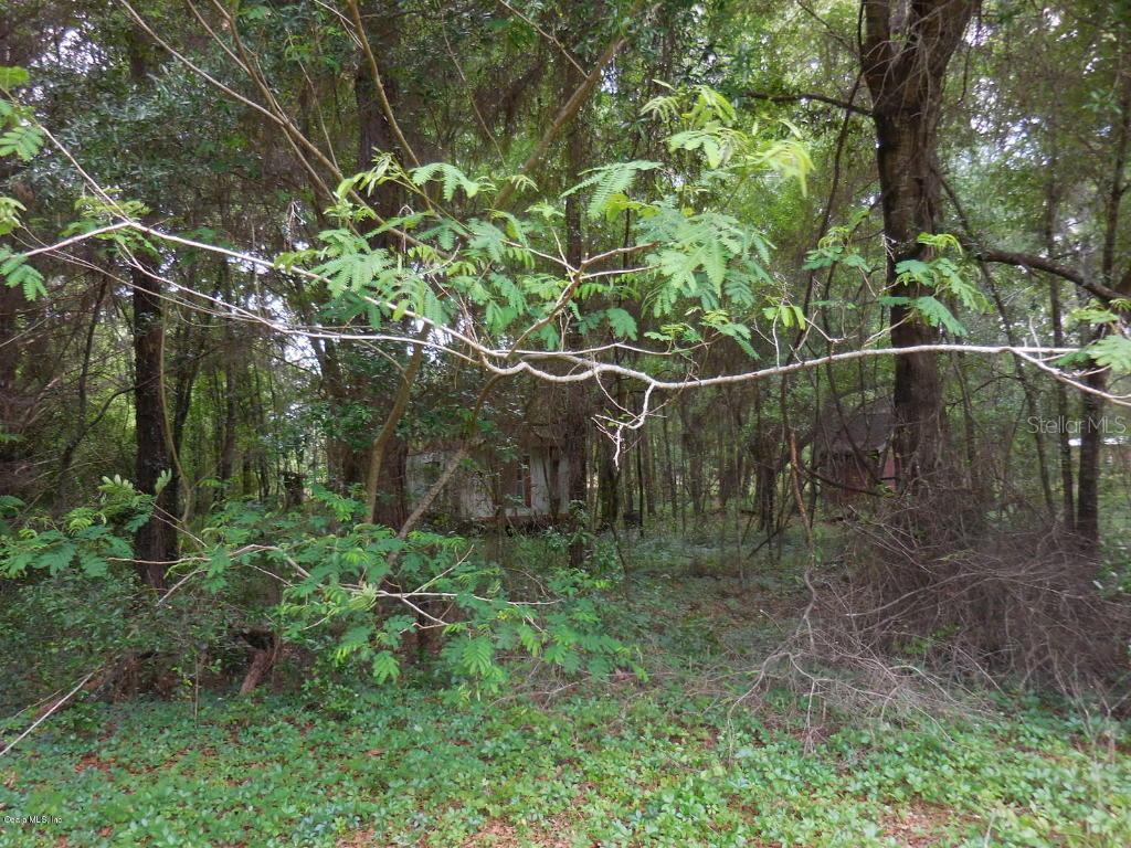 16151 NE 73rd St., Williston, FL 32696