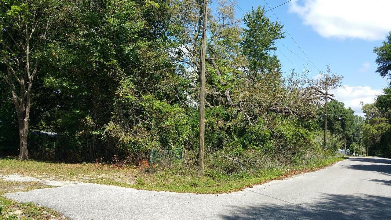 10490 SE 131 Pl., Ocklawaha, FL 32179