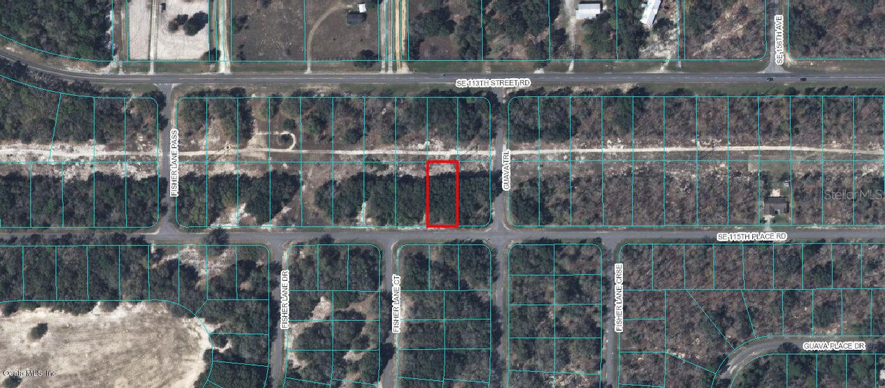 00 SE 115th Pl Rd., Ocklawaha, FL 32179