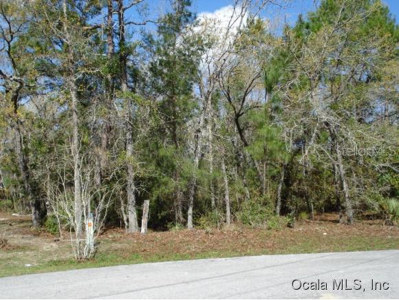 SE Oak Run Pass, Ocala, FL 34472