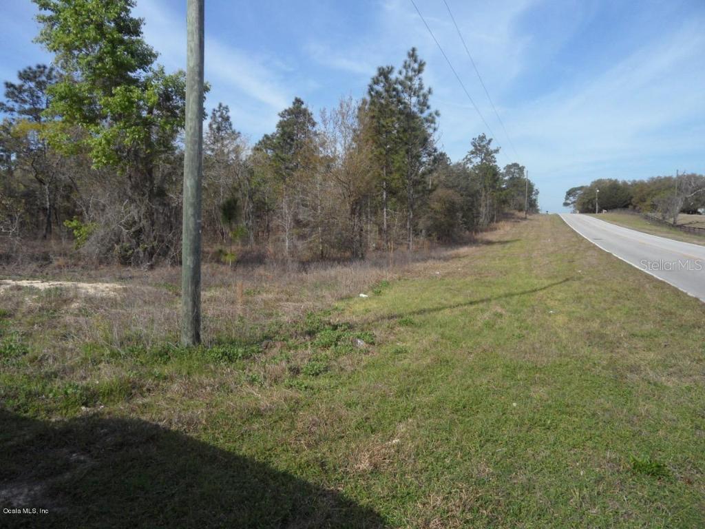 TBD E Levy St., Williston, FL 32696