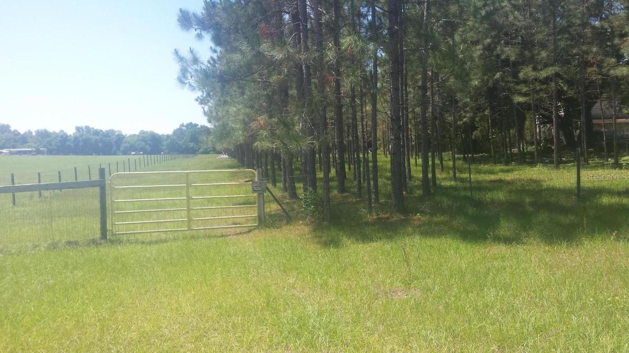 9830 SE 155th St., Summerfield, FL 34491