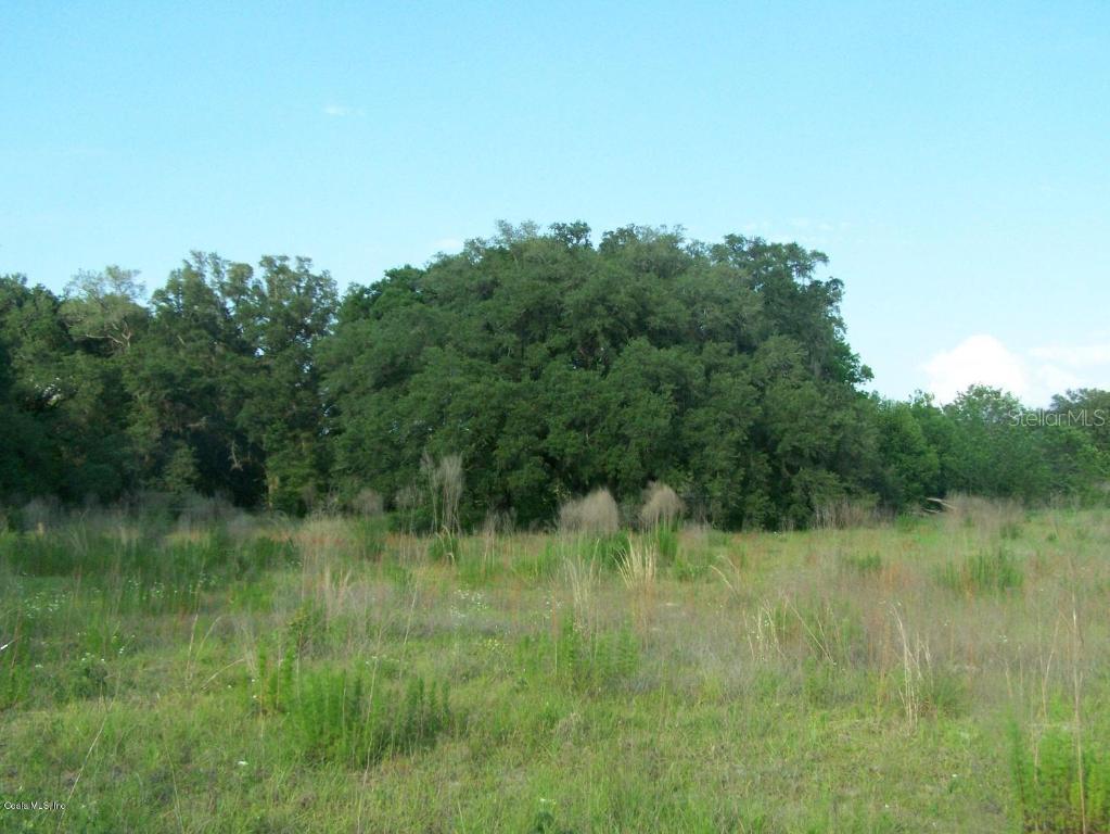 NE 30 St., Williston, FL 32696