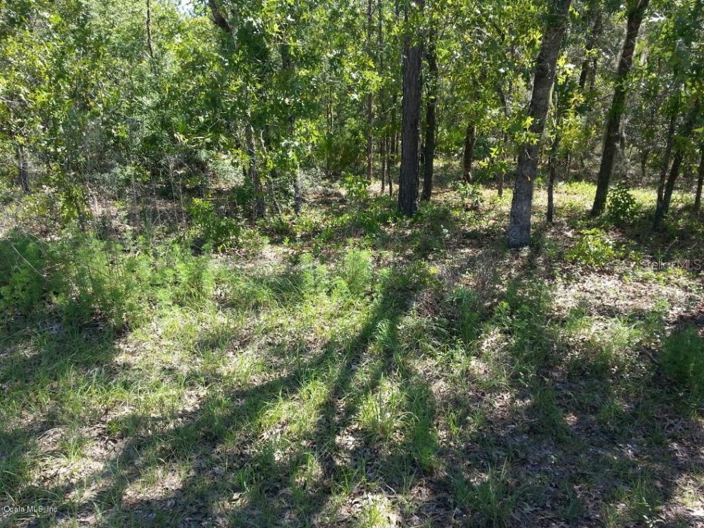 00 SE Redwood Run, Ocala, FL 34472
