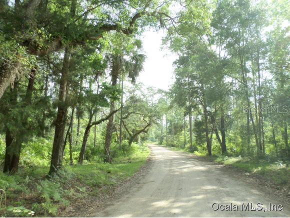 50ac SE 157 Pl., Inglis, FL 34449