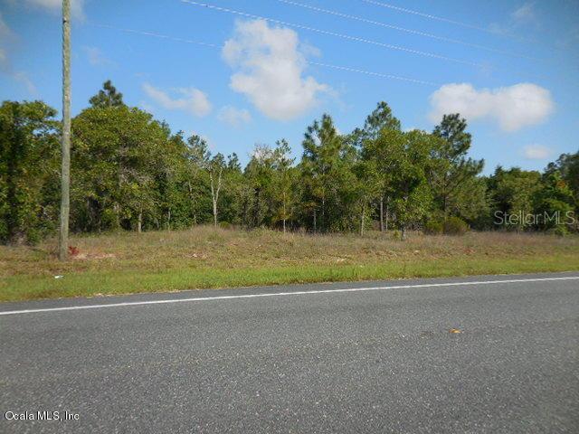 TBD SE State Road 121, Williston, FL 32696