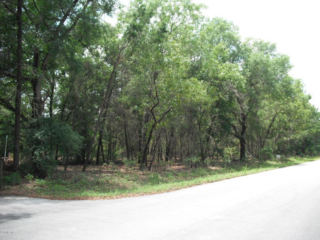 SE 150th St., Summerfield, FL 34491