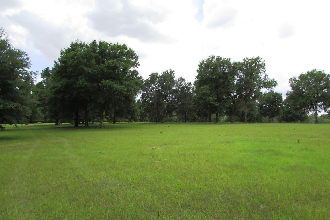 7351 NE 142 Ter., Williston, FL 32696