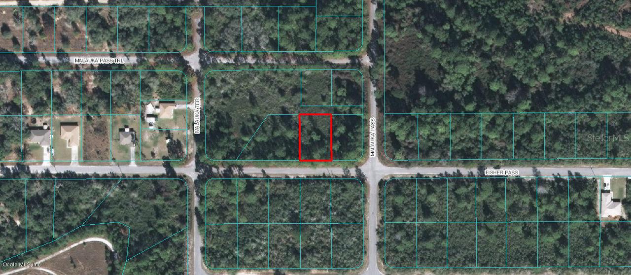 00 Fisher Pass, Ocklawaha, FL 32179