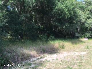 TBD SE Highway 42, Summerfield, FL 34491