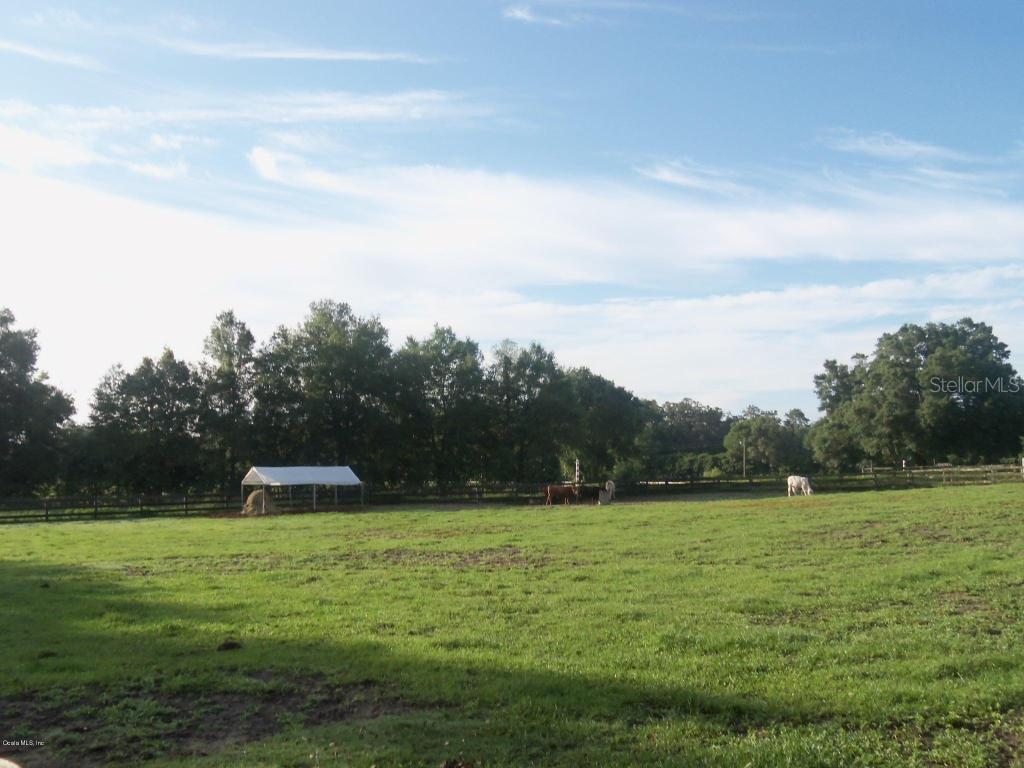 11296 NW 39 St., Ocala, FL 34482
