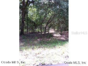 Locust Lp Dr., Ocala, FL 34472