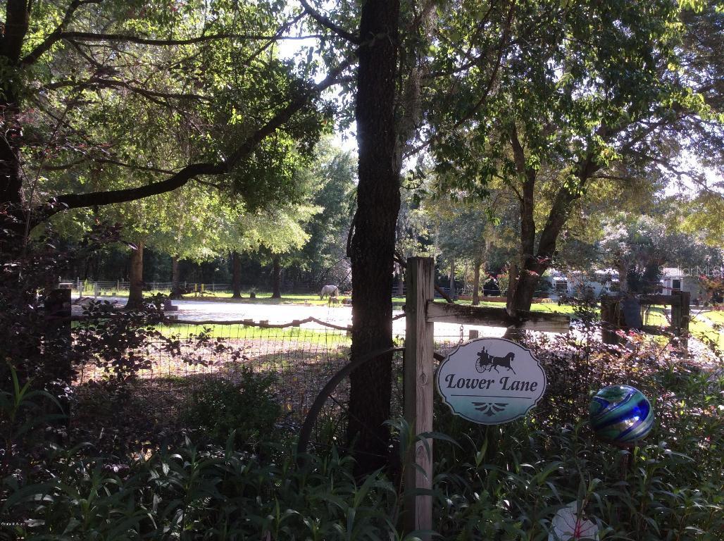 6291 NE 128th Ter., Williston, FL 32696