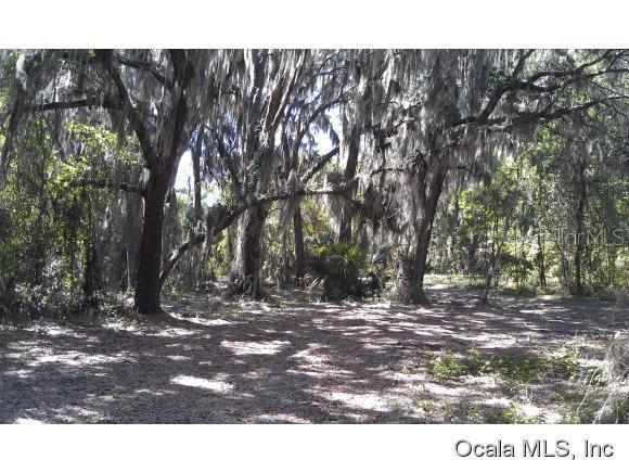 84ac NE Highway 318, Citra, FL 32113