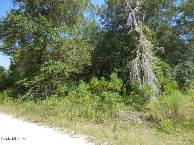 NE 64 Place, Williston, FL 32696