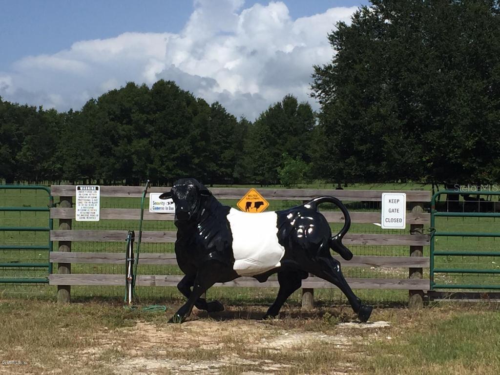 850 NW 80th Ave., Ocala, FL 34482