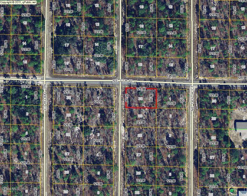 TBD NE 7th Pl., Williston, FL 32696