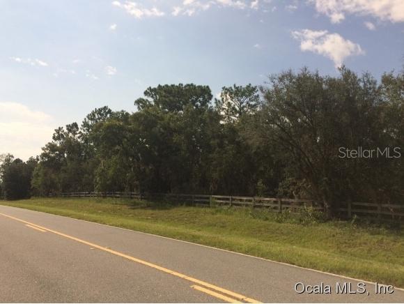 TBD E Tbd Levy St., Williston, FL 32696