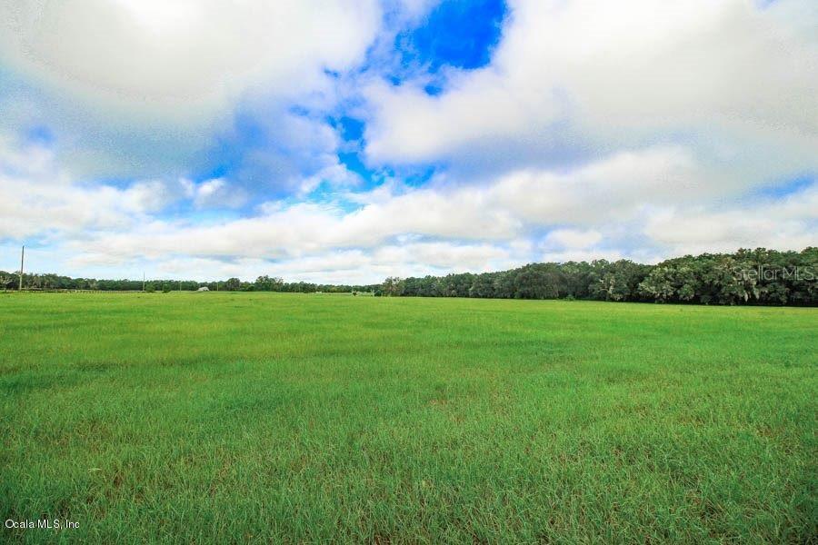TBD NW 100th Ave., Ocala, FL 34482