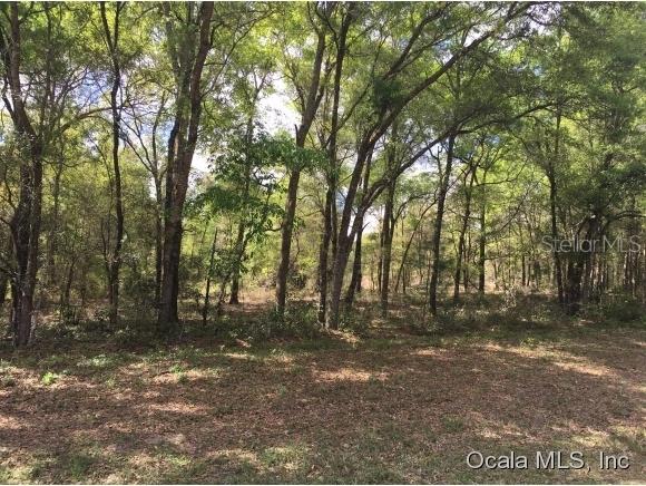 TBD NE Tbd 75 St., Williston, FL 32696