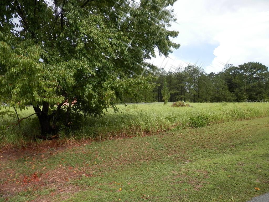 Cedar Tree Run, Ocala, FL 34472
