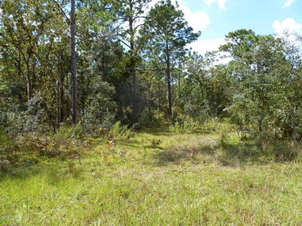 TBD NE 137th Ave., Williston, FL 32696