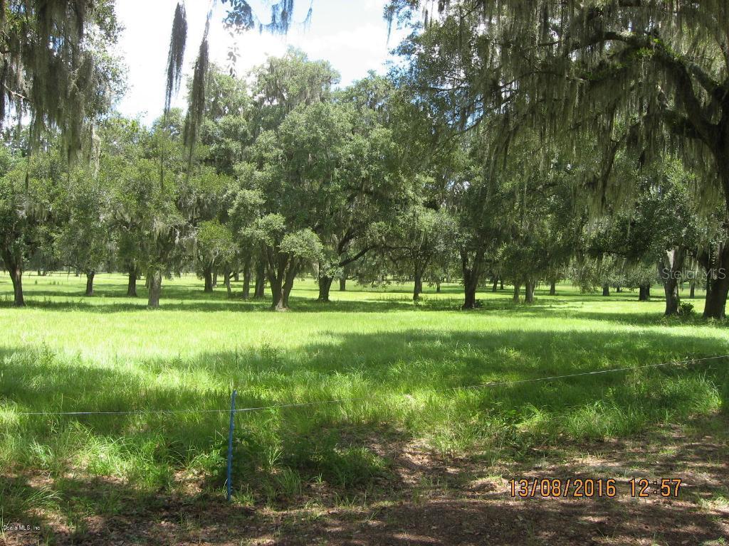 12875 NW 115 St., Ocala, FL 34482