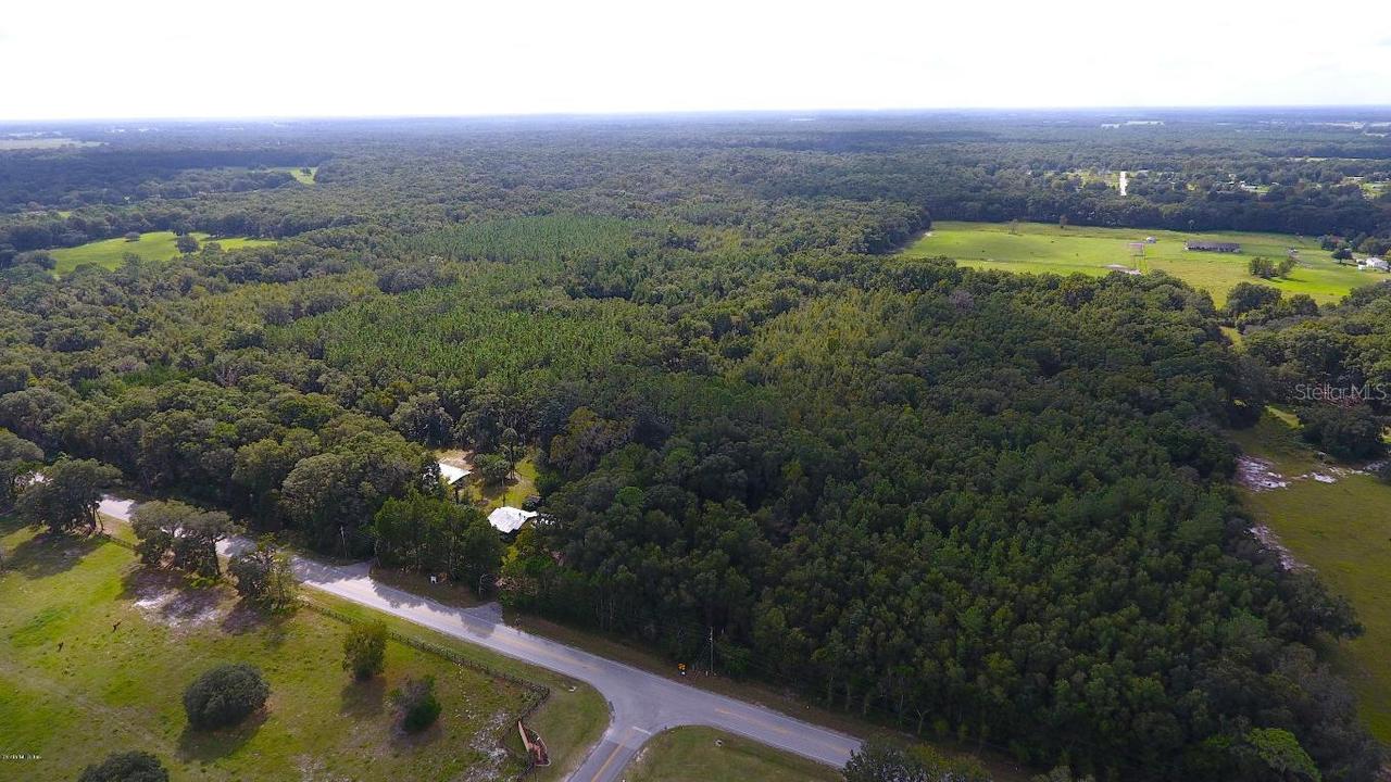 2700 SE Highway 42, Summerfield, FL 34491