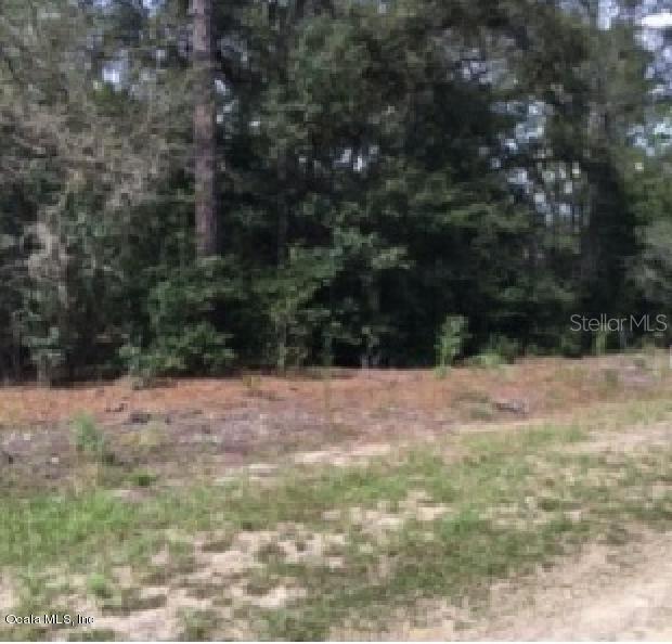 TBD SW 157 Ter., Ocala, FL 34482