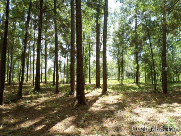 Lot C13 NW 110th Ave., Ocala, FL 34482
