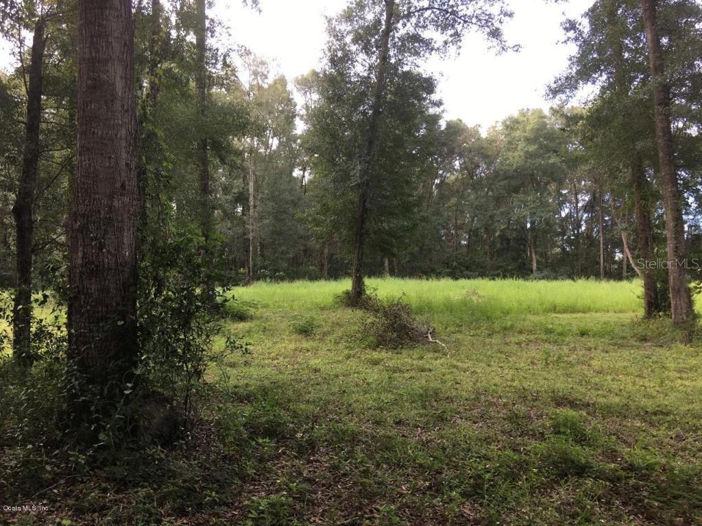 tbd NE 40th St., Williston, FL 32696