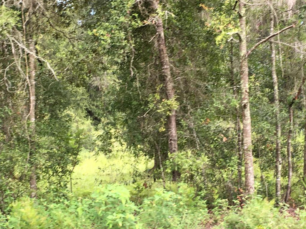 NE State Road 24, Archer, FL 32618