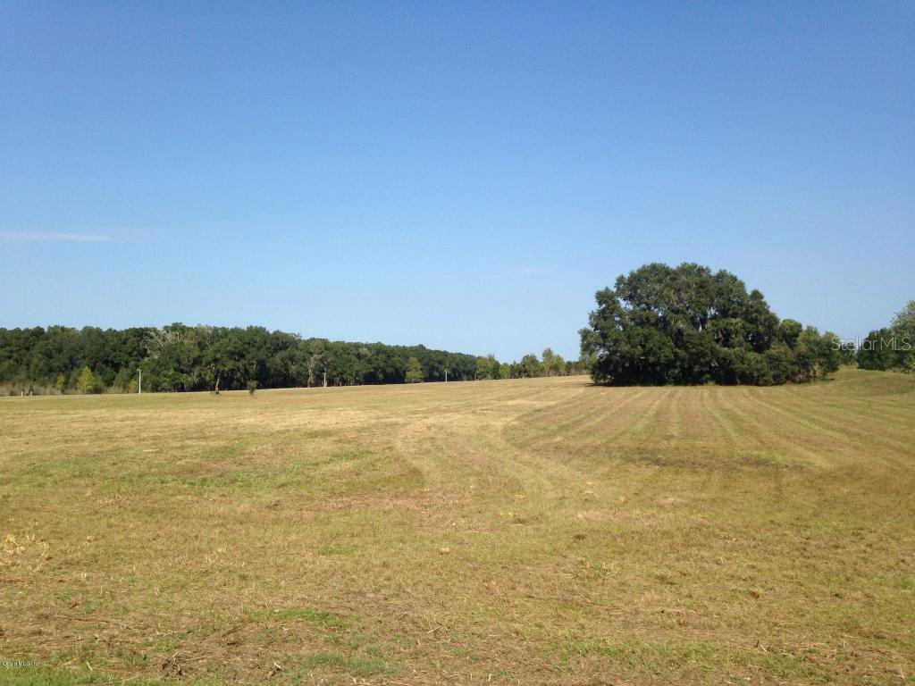 TBD NE 22nd Ct Rd, Ocala, FL 34479