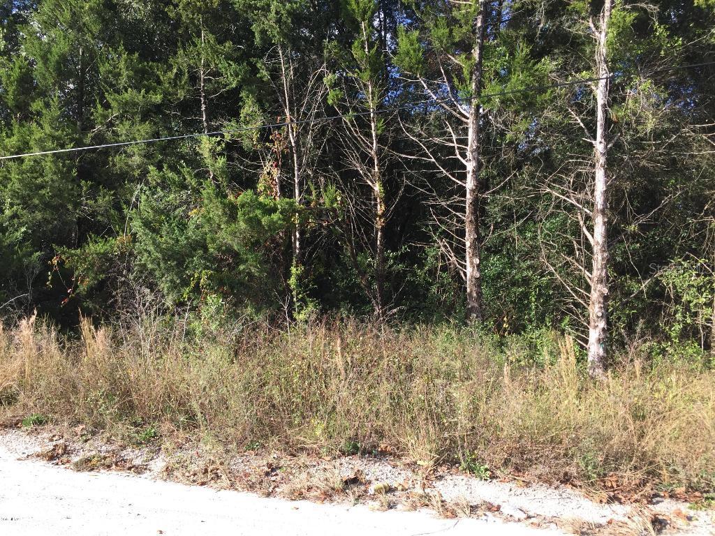 00 SE 142 Ln., Summerfield, FL 34491