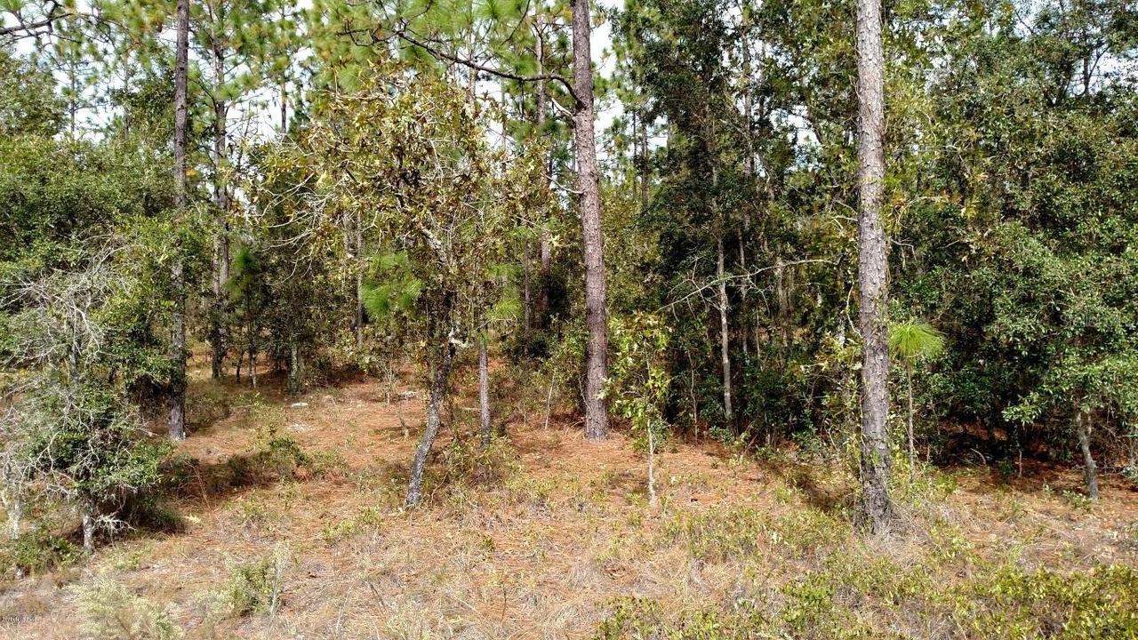 tbd SW Edgewater Dr., Dunnellon, FL 34431