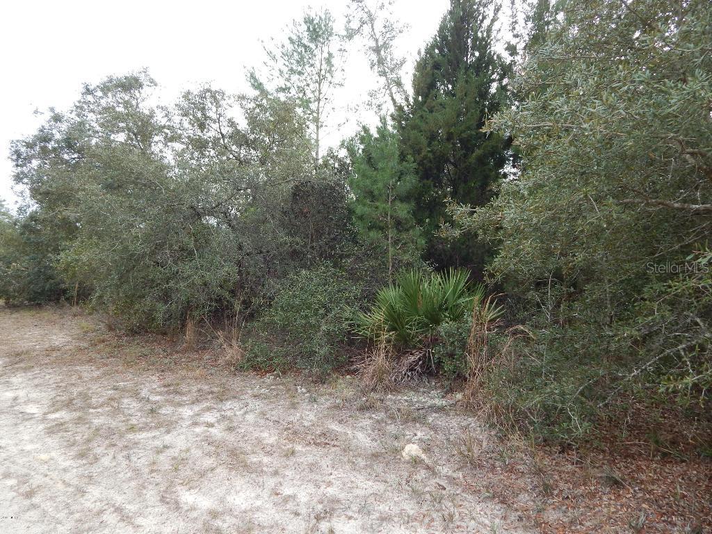 SW 144 Ct., Ocala, FL 34481